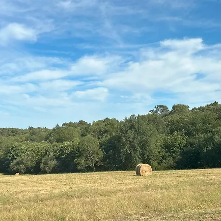 Hikari Panzió Saint-Marcory