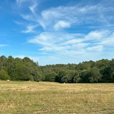 Alojamento de Acomodação e Pequeno-almoço Hikari 3*