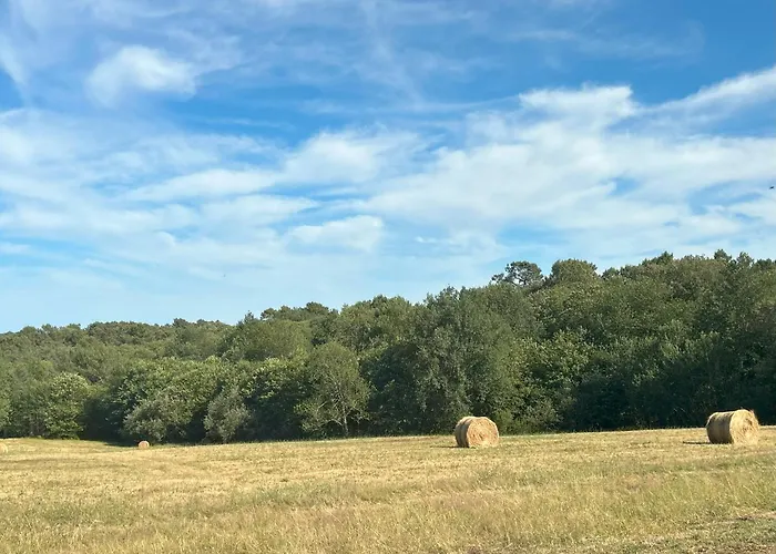 Hikari Bed & Breakfast Saint-Marcory