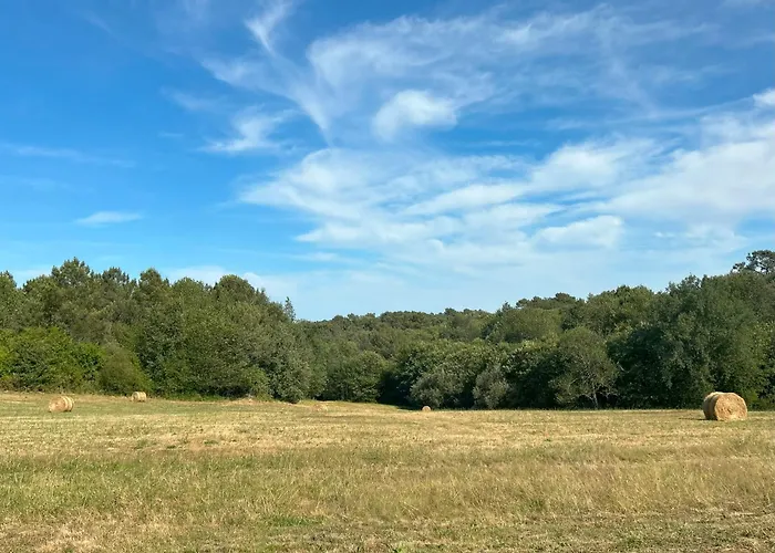 Bed & Breakfast Hikari 3*